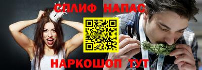 шишки Пенза